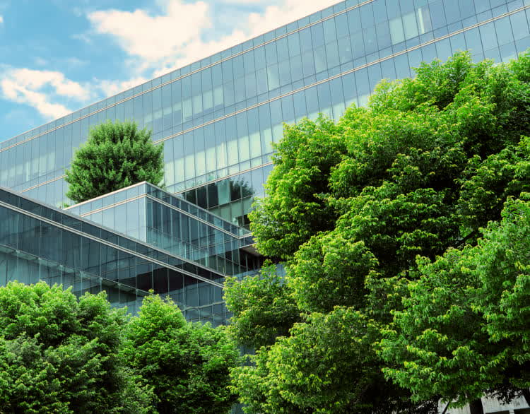 Sustainable, energy-efficient housing